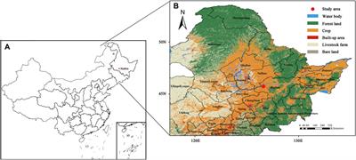 Attributions of emission-reduction and meteorological conditions to typical heavy pollution episodes in a cold metropolis, northeast China